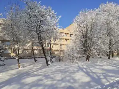 Семеновское - 0
