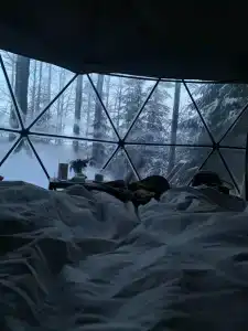 Villy Uley Karelia (Вили Улей Карелия) - 32