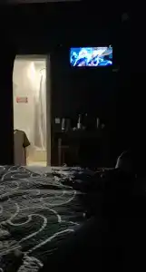 Флотилия - 40