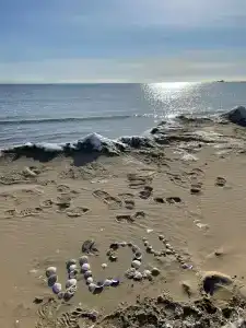 Звезда моря - 26