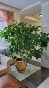 Пансионат Светлячок - 50