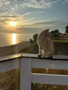 Азов Бриз - 10