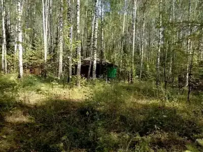 Урман - 18