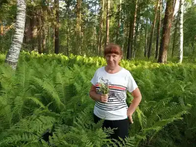 Авиабаза - 77
