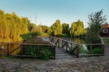 Афродита - 15