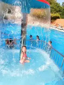 Снегири - 18
