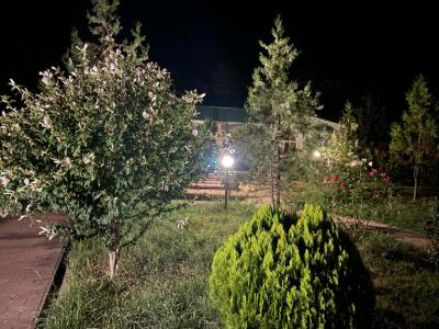 Мини-отель с лечебными ваннами - 20