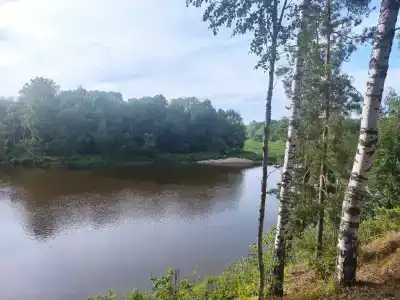 ЗиД - 38