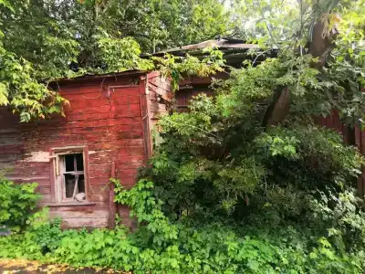 Дрим Хаус - 11