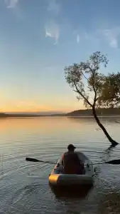 Смородина - 40