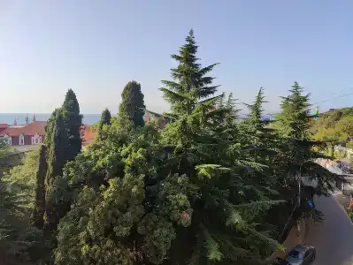 у Федоровича - 2