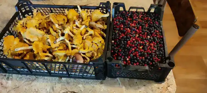Рыболовный клуб на Рыбинке в Селехово - 13
