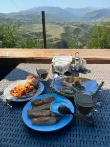 Пение птиц - 46