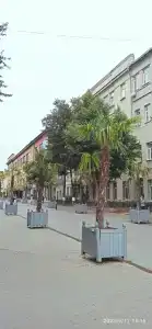 Белый Дом - 16