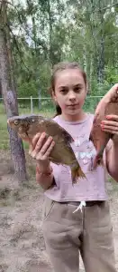 Поляна сказок - 6