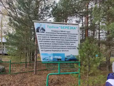 Берёзка - 30