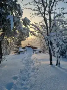 Белогорье - 31