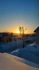 Медведица - 14