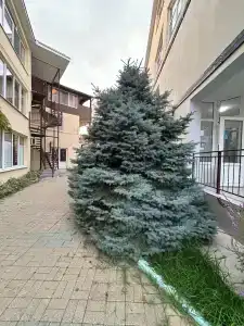 Изумруд - 15