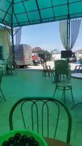 Вяз - 0
