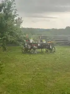 Беловежское Поместье - 99