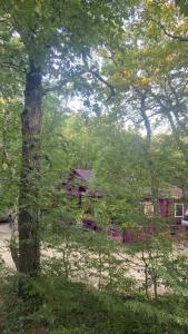 Эколоджия - 98