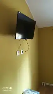 Две Совы - 15
