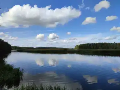 Оредеж - 96