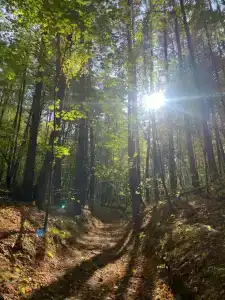 Монте-Карло - 16