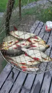 Форт Верный - 24