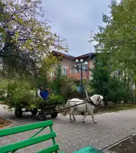 Политотдел - 19