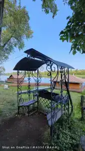 Роза Ветров - 8
