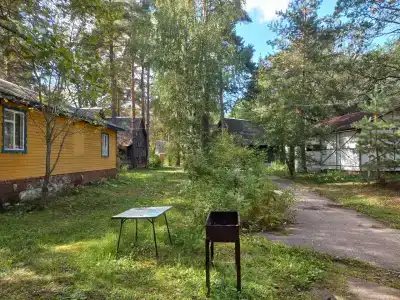 Улыбышево - 45