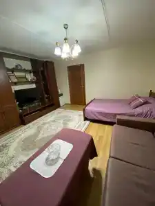 Гостевой дом в Центральном Парке - 62