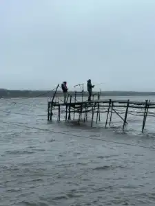 Мантиансаари - 43