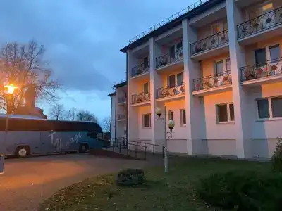 Беловежская пуща. №2 - 13