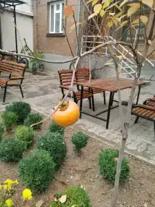 Гульнара - 11