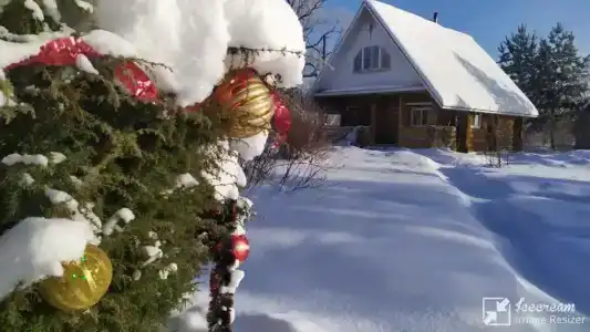 Петровых - 0