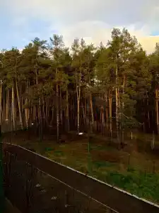 Мечетлинский - 22