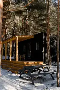 Место под соснами - 35