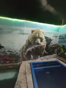 Медвежий угол - 30