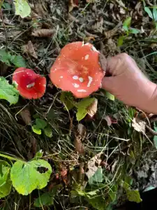 Семейный пансионат Морской - 3