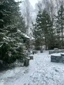 Медвежье урочище - 50