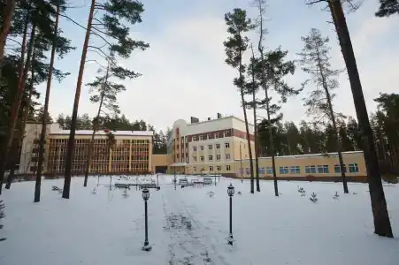Серебряные ключи - 98