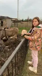 Страусиная ферма Экзотик - 99