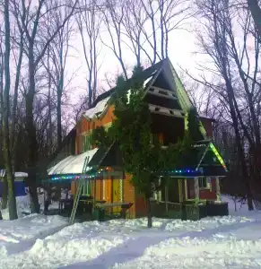 Алмаз - 49