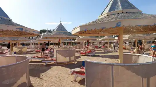 The Grand Resort - 11
