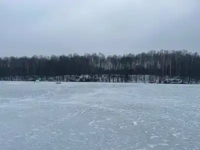 Веселый Роджер - 71