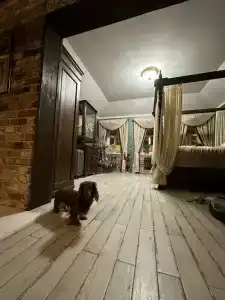 Мадемуазель Пшёнкина - 7