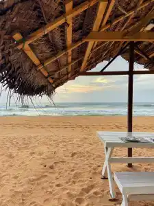 Pandanus Beach Resort & Spa - 34